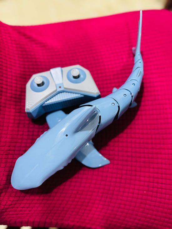 Testimonio de Ariana V.